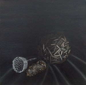 NativeSeed2_SJackson